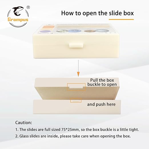 30 Prepared Microscope Slides with Specimens for Kids Students - Histology, for Biological Science Lab, Children's Science Education, Homeschooling Use