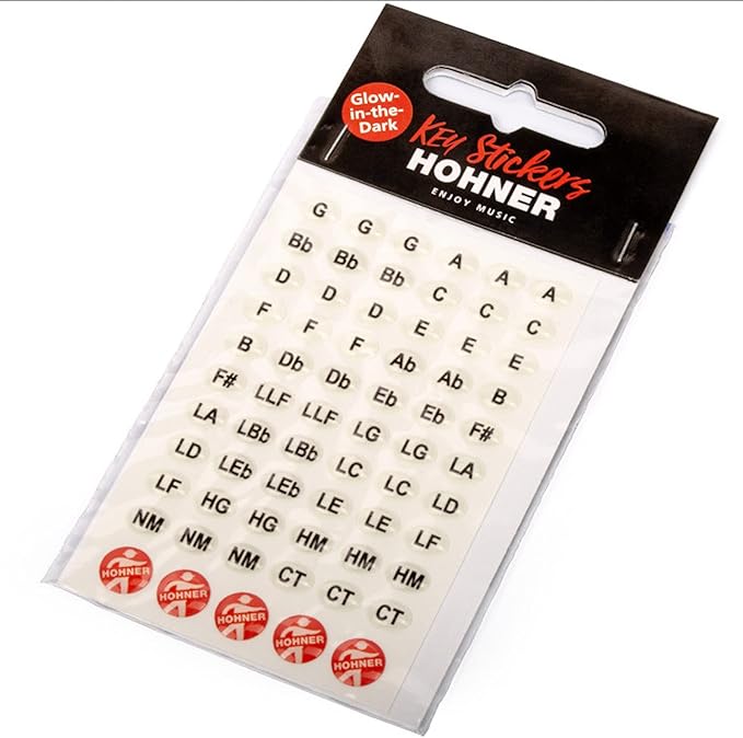 Hohner 560 Special 20 Harmonica - Key of F Sharp Bundle with Carrying Case, Key Stickers, Harmonica Beginner Online Manual, and Austin Bazaar Polishing Cloth