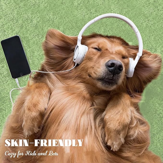 5x7 Area Rug for Living Room: Fluffy Shag Soft Washable Rugs Fuzzy Plush Indoor Carpet for Bedroom Nursery Playroom Dorm Kids Girls Boys Room (Sage Green, 5'x7')