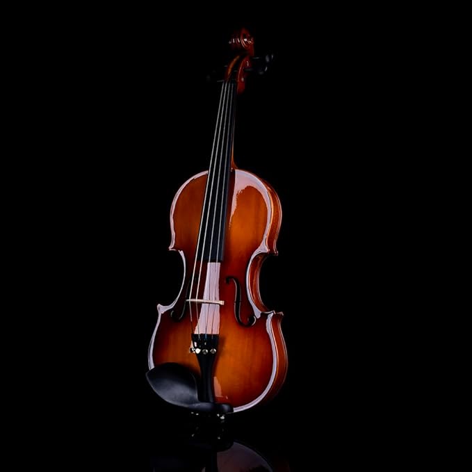 Rhythm Violin Set for Beginners,Acoustic Violins Starter Kit Package for Student,Beginners Fiddle with Hard Case, Rosin, Shoulder Rest, Bow, and Extra Strings (NATURAL, 1/4)