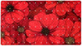Shower Mat Non Slip, Poppies Anti Slip Bath Mat by Anna+Cowper