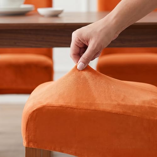 Deisy Dee Stretch XL/Oversized Extra Large Velvet Dining Room Chair Covers - Image 5