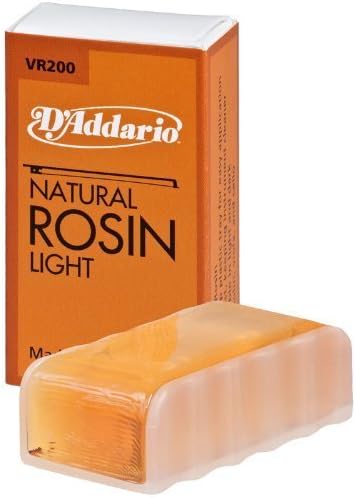 D Z Strad Violin Model 100 Full Size 4/4 with Solid Wood with Case, Bow, and Rosin