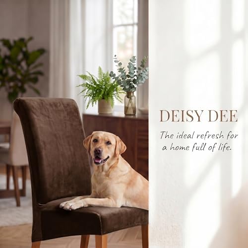 Deisy Dee Stretch XL/Oversized Extra Large Velvet Dining Room Chair Covers - Image 6
