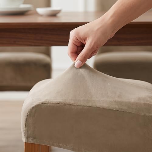 Deisy Dee Velvet Dining Chair Covers Set of 2, Extra Large XL Oversized Stretch - Image 5