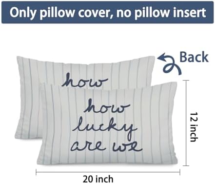 How Lucky are We 12x20 Pillow Cover, Retro Striped Inspirational Quote - Image 7