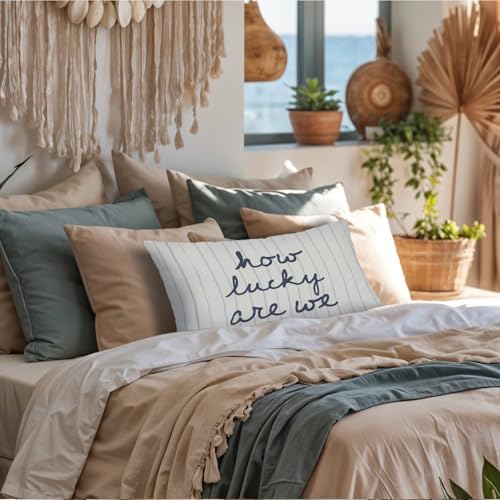 How Lucky are We 12x20 Pillow Cover, Retro Striped Inspirational Quote - Image 2