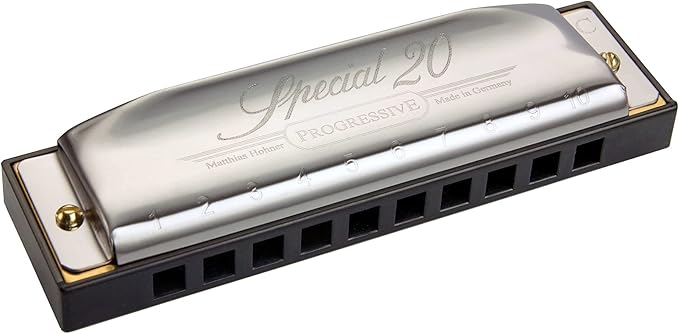 Hohner Special 20 Harmonica - Key of F Sharp Bundle with Case, Pouch, Online Manual, and Austin Bazaar Polishing Cloth