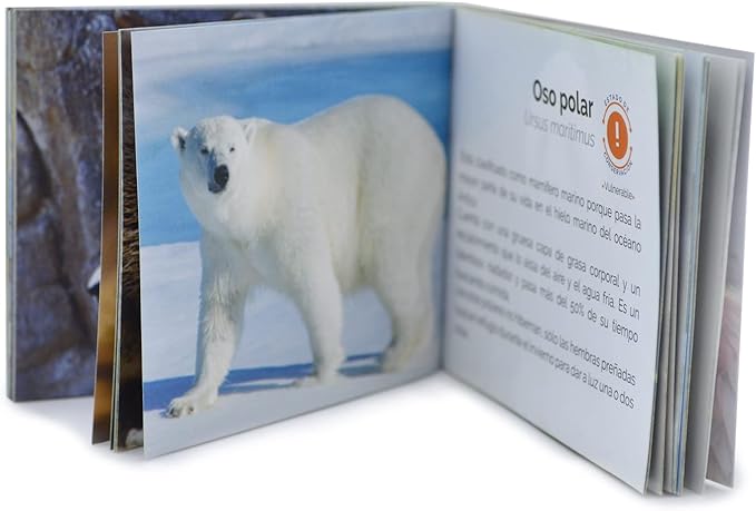 Menique Wild Animals Memory Matching Game – Spanish Edition – 80 Cards (40 Pairs) with Real Photos – Educational Game in Spanish for Kids and Adults – Includes Booklet