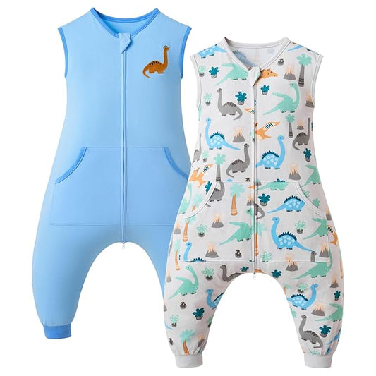 Baby Toddler Sleep Sack with Feet 2.5 TOG Winter, Wearable Blanket with Legs, Toddler Sleeping Sack Long Sleeve (Dinosaur, 2T-3T)