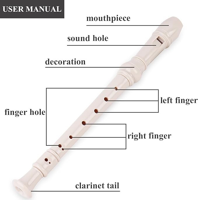 Recorder Instrument for Beginner Kids Adults,8-Hole Soprano Descant Recorder Music Flute with with Cleaning Rod & Leather Case For School Student Home Entertainment(2-Carved Beige)