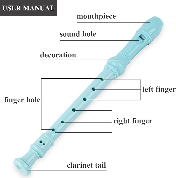 Recorder Instrument for Beginner Kids Adults,8-Hole Soprano Descant Recorder Music Flute with with Cleaning Rod & Leather Case For School Student Home Entertainment(2-Carved Light Green)