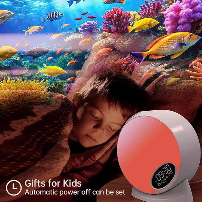 Galaxy Projector,Syslux Planetarium Star Projector,Bedroom Night Light and Timer,with White Noise,4K Replaceable 13 HD Galaxy Discs,for Space Projector for Kids Adults Bedroom Decor Birthday Gifts