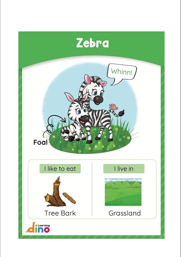 Animals and Their Babies Flashcards | Animal Sound | Animal Habitat Flashcards for Toddlers and Kids - 40 Animals - Non Tearable and Water Resistant | Reusable