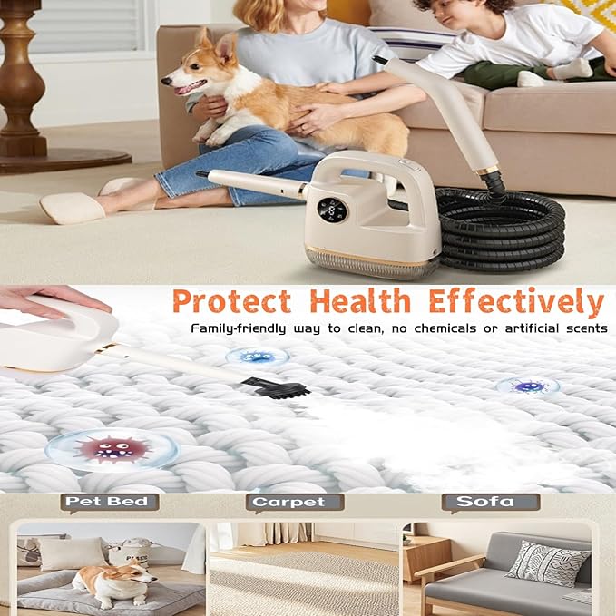 Handheld Steam Cleaner [One Click Clean] Steamer for Cleaning 10-in-1 High Pressure Steam Cleaner for Home/Car Detailings/Fabric etc. Separate Design|Digital Display|Two Cleaning Methods