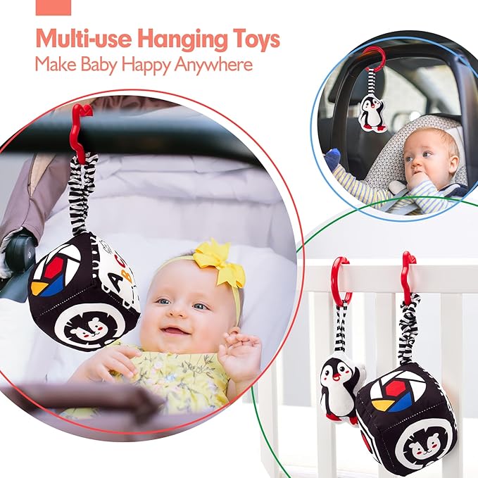 hahaland High Contrast Baby Toys for Newborn - Infant Baby Black and White Sensory Newborn Toys for Brain Development Montessori Tummy Time Toy for 0 3 6 Months