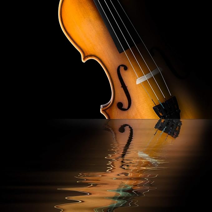 Eastar 4/4 Violin Set Full Size Fiddle Solidwood for Adults with Hard Case, Shoulder Rest, Rosin, Two Bows, Clip-on Tuner and Extra Strings, EVA-330