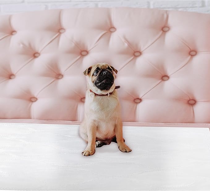 Inspire Super and Ultra Absorbent Reusable Bed Pads (23" X 36" Reusable 2 Pack)