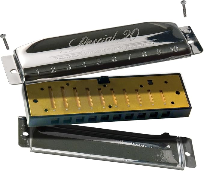 Hohner 560 Special 20 Harmonica - Key of B Bundle with Carrying Case, Key Stickers, Harmonica Beginner Online Manual, and Austin Bazaar Polishing Cloth