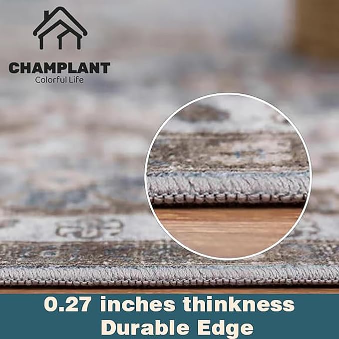 Area Rug 10x14 Washable Tangerine Vintage Traditional Mat Distressed Indoor Foldable Thin Retro Accent Floral Non Slip Carpet for Living Room Dining Room Office