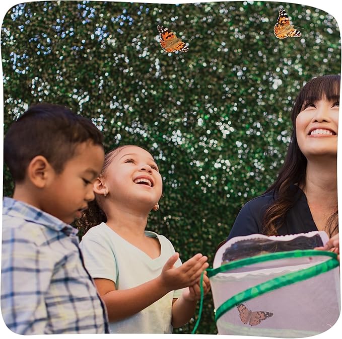 Insect Lore Butterfly Garden with 5 Live Baby Caterpillars - STEM Activity Journal, Habitat, Chrys-A-Lid Holder and Feeder Included | Raise and Release Painted Lady Butterflies