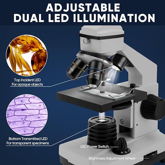 Microscope for Adults Kids, Dcorn 100X-2000X Powerful Biological Microscopes for School, Home, and Lab Use, Includes Microscope Slides Set and Phone Adapter.