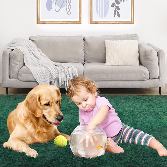 Fluffy Area Rug, 3x5 Green Rugs for Bedroom, Soft Plush Area Rugs for Living Room, Non-Slip Indoor Carpet for Nursery, Study Room, Playroom, Home Decor