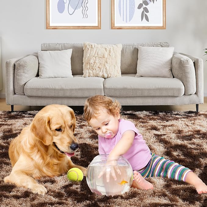 Fluffy Shag Area Rug, 3x5 Tie-Dyed Brown Rugs for Bedroom, Soft Plush Area Rugs for Living Room, Non-Slip Indoor Carpet for Nursery, Study Room, Dressing Room, Home Decor