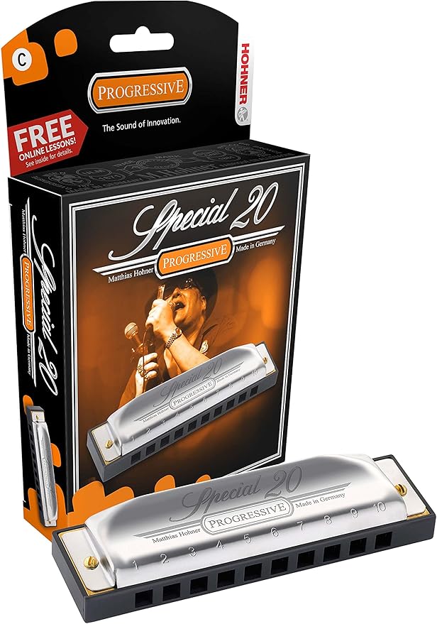Hohner Special 20 Harmonica - Key of D Bundle with Case, Pouch, Online Manual, and Austin Bazaar Polishing Cloth