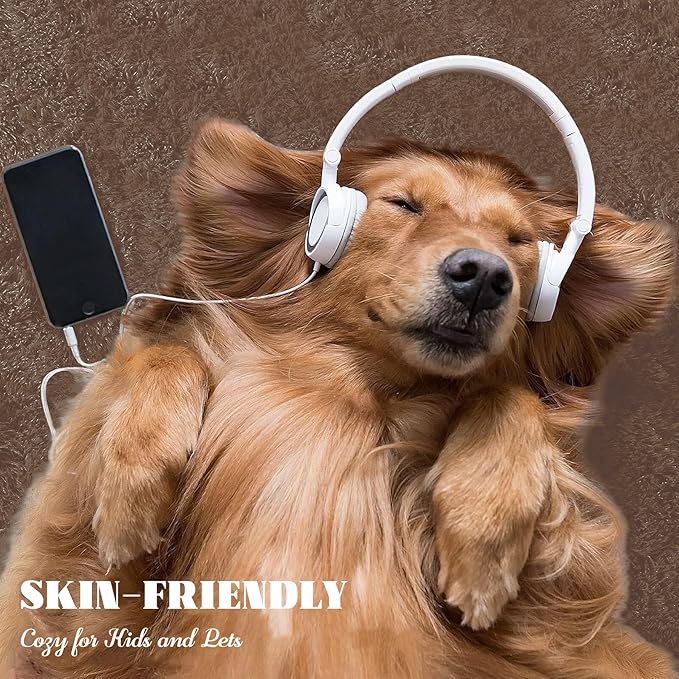 8x10 Area Rug for Living Room: Fluffy Shag Soft Washable Rugs Large Fuzzy Plush Indoor Carpet for Bedroom Nursery Playroom Kids Girls Boys Room (Coffee, 8'x10')