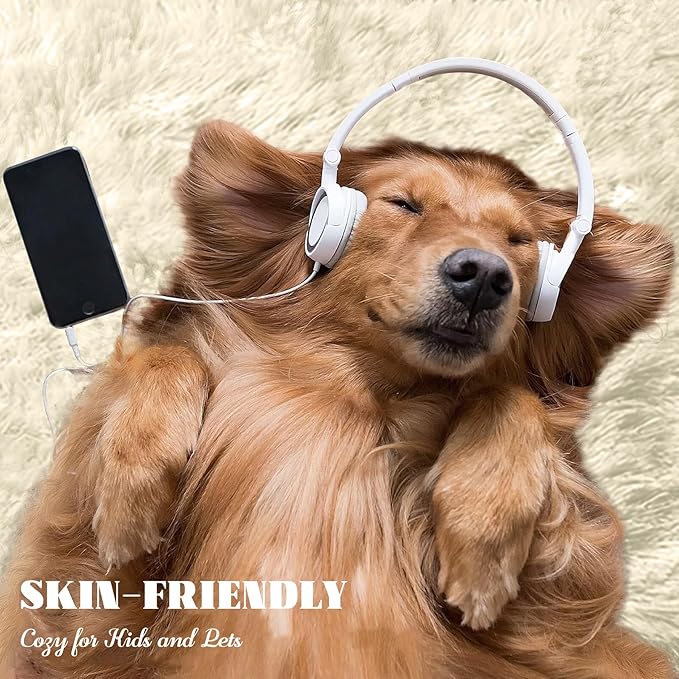 4x6 Area Rug for Living Room: Fluffy Shag Soft Washable Rugs Fuzzy Plush Indoor Carpet for Bedroom Nursery Playroom Dorm Kids Girls Boys Room (Cream White, 4'x6')