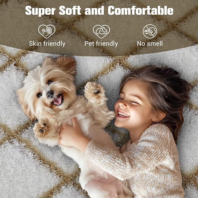 Fluffy Rug for Bedroom, 6X9Feet Stripe Checkered Rug Anti-Skid High Pile for Living Room Bedroom Kids Room Nursery, Dorm Home Decor