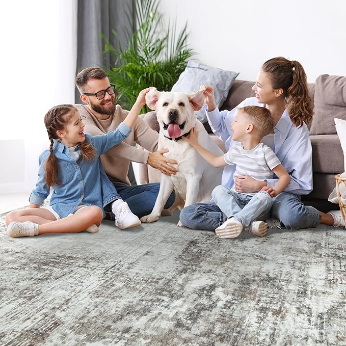 6x9 Area Rugs for Living Room Rug Washable: Modern Rug for Dining Room Bedroom Carpet Non Slip Low Pile 6 by 9 Indoor Abstract Nursery Home Office Brown Grey