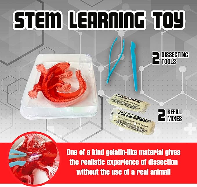 Dissect-It Kit for Kids, Simulated Synthetic Lab Dissection Toy, Salamander STEM Toys for Animal Science, Biology, and Anatomy