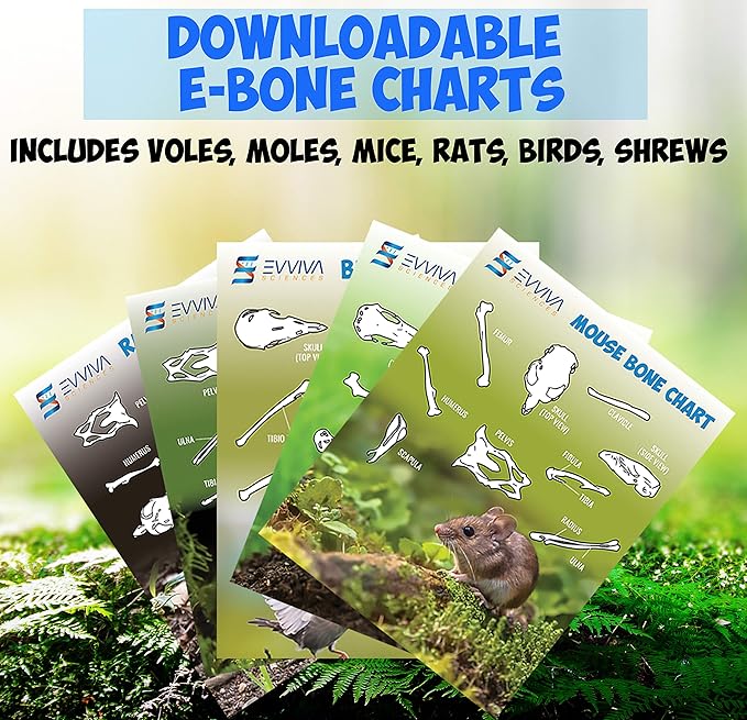 Amazing Owl Pellet Dissection Kit 5-Piece Set for Science Lab Projects Includes Tweezers and Wooden Probes Ideal for Ages 15 & Older Barn Owl eBook Included