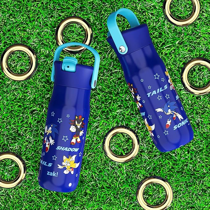 Zak Designs Harmony Sonic the Hedgehog Water Bottle for Travel or Home, 20oz Recycled Stainless Steel is Leak-Proof When Closed and Vacuum Insulated with Straw Lid and Carry Handle (Sonic & Friends)